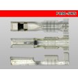 Photo3: ★Stock limit ★090 model HM | made by Sumitomo Wiring Systems MT | DS | HD series F terminal /F090-SWS (3)