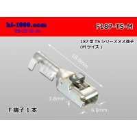 [Sumitomo]187 type TS, DL series F terminal (medium size) /F187-TS-M