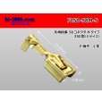 Photo1: [Yazaki] 250 type 58 series M type F terminal (small size) /F250-58M-S (1)
