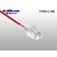 Photo4: [TE] 250 model divergence Flat giboshi terminal (there is no sleeve) /F250-C-SN (4)