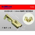 Photo1: [Yazaki] 250 type female terminal (for the 0.85-2.0mm2 electric wire) female terminal  /F250 (1)