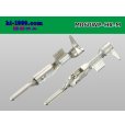 Photo2: 060 Tab Size Sealed Male Terminal – Size M – Sumitomo HX Sealed Series (With Size L Wire Seal) (2)