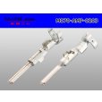 Photo2: ●[TE]070 series M terminal (small size) /M070-AMP-0203  (2)