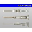 Photo3: ●[TE]070 series M terminal (small size) /M070-AMP-0203  (3)
