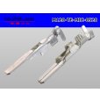 Photo2: [TE]120 model multi-interlock M terminal /M120-TE-MIC-0520 (2)