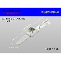 [Sumitomo]187 type TS, DL series M terminal (medium size) /M187-TS-M