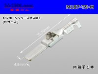 [Sumitomo]187 type TS, DL series M terminal (medium size) /M187-TS-M