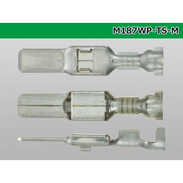 Photo3: [Sumitomo]187TS waterproofing M terminal (medium size) wire seal (medium size) /M187WP-TS-M-M