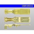 Photo2: [Yazaki] 250 type 58 series M type M terminal (Medium size) /M250-58M-M (2)