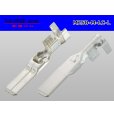 Photo2: [Yazaki] 250 type 91 series M-LC type M terminal (large size) /M250-M-LC-L (2)