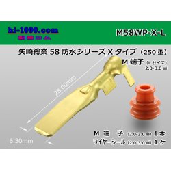 Photo1: [YAZAKI]250 type waterproofing 58 connector X type Male terminal large size (belonging to WS) /M58WP-X-L 