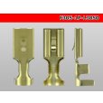 Photo3: 1P305K  female  terminal ( For thick lines )/F305-1P-L3050 (3)