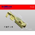 Photo1: F110 [SWS]  Terminal  Non waterproof /F110 (1)