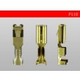 Photo3: F110 [SWS]  Terminal  Non waterproof /F110 (3)