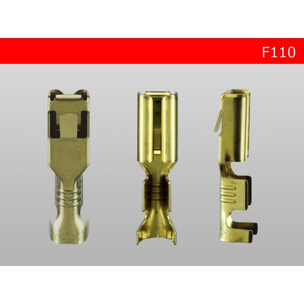 Photo3: F110 [SWS]  Terminal  Non waterproof /F110