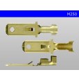 Photo3: [Yazaki] 250 type male terminal (for the 0.85-2.0mm2 electric wire) male terminal /M250 (3)