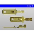 Photo3: [Yazaki] 250 type male terminal - small size (for the 0.3-0.5mm electric wire) /M250-S (3)