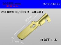 [sumitomo] 250 Type DS/HD series  male  terminal /M250-SMDS