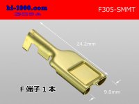 305 Type  [SWS] MT series  female  terminal /F305-SMMT