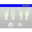 Photo3: ●[sumitomo] 110 type 2 pole M connector (no terminals) /2P110-M-tr (3)
