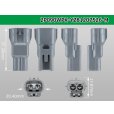 Photo3: ●[yazaki]  090II waterproofing series 2 pole M connector [gray] (no terminals)/2P090WP-YZ81207526-M-tr (3)