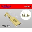 Photo1: 1P305K  female  terminal /F305-1P (1)
