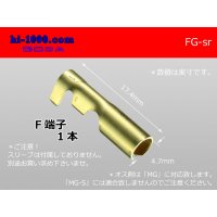 Round Bullet Terminal  [color Gold]  female  terminal   only  - female  No sleeve /FG-sr