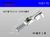 187 Type  [SWS] TS series M Terminal /M187-TS