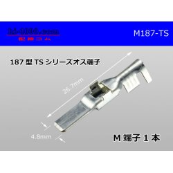 Photo1: 187 Type  [SWS] TS series M Terminal /M187-TS