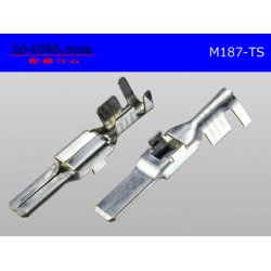 Photo2: 187 Type  [SWS] TS series M Terminal /M187-TS
