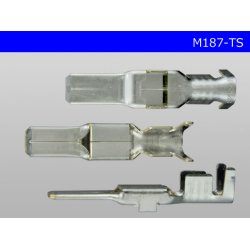 Photo3: 187 Type  [SWS] TS series M Terminal /M187-TS