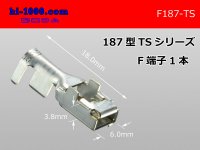 187 Type  [SWS] TS series F Terminal /F187-TS