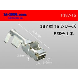 Photo1: 187 Type  [SWS] TS series F Terminal /F187-TS