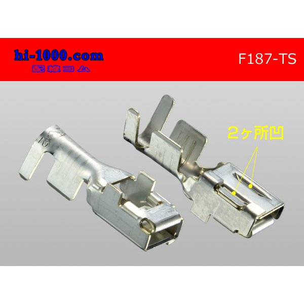 Photo2: 187 Type  [SWS] TS series F Terminal /F187-TS