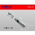 Photo1: ■[Nippon-Tanshi] 040 Type F terminal / F040-NT (1)