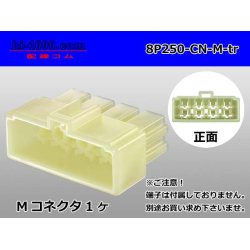 Photo1: ●[yazaki] 250 type CN(A) series 8 pole M connector (no terminal)/8P250-CN-M-tr 