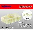 Photo1: ●[yazaki] 250 type CN(A) series 10 pole M connector (no terminal) /10P250-CN-F-tr  (1)
