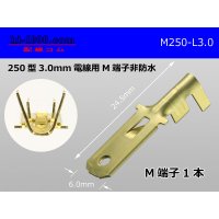 [Yazaki] 250 type male terminal (for the 3.0mm2 electric wire) male terminal /M250-L-3.0