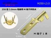 [Yazaki] 250 type male terminal (for the 3.0mm2 electric wire) male terminal /M250-L-3.0