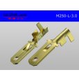 Photo2: [Yazaki] 250 type male terminal (for the 3.0mm2 electric wire) male terminal /M250-L-3.0 (2)