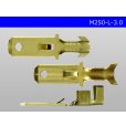 Photo3: [Yazaki] 250 type male terminal (for the 3.0mm2 electric wire) male terminal /M250-L-3.0 (3)