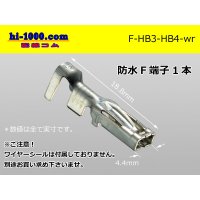 HB3/HB4  female  terminal   only  ( No wire seal )/F-HB3-HB4-wr