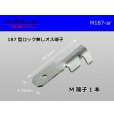 Photo1: 187 Type  No lock  male  terminal   only  - No sleeve /M187-sr (1)