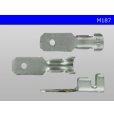 Photo3: 187 Type  No lock  male  terminal   only  - No sleeve /M187-sr (3)