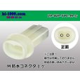 Photo1: ●[yazaki] YPC waterproofing 2 pole M connector (no terminals) /2P-WP-YPC-M-tr (1)
