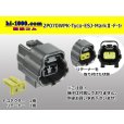 Photo1: ●[TE] 070 Type ECONOSEAL J Series (Markll) waterproofing 2 pole F connector (No terminals) /2P070WP-Tyco-EsJ-Mark2-F-tr (1)