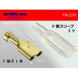 Photo1: 250 Type  No lock F terminal - With sleeve /FNL250