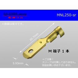 Photo1: [Nippon Tanshi]250 Type  No lock M terminal   only  ( No sleeve )/MNL250-sr