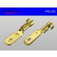 Photo2: [Nippon Tanshi]250 Type  No lock M terminal   only  ( No sleeve )/MNL250-sr (2)