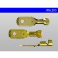 Photo3: [Nippon Tanshi]250 Type  No lock M terminal   only  ( No sleeve )/MNL250-sr (3)